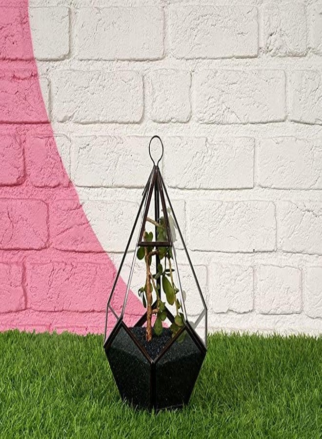 VANNEF® VANNEF Premium Aquarium Black Sand for Lawn, Garden, Plants & Aquarium/Fish Tank, Indoor & Outdoor Decoration (400 gm Black) - Image 5